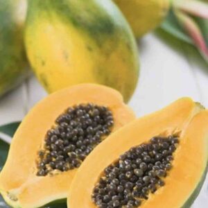 Hạt giống Đu đủ ruột vàng Vĩnh Tường