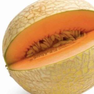 Hạt giống Dưa lưới Melo (ruột vàng)